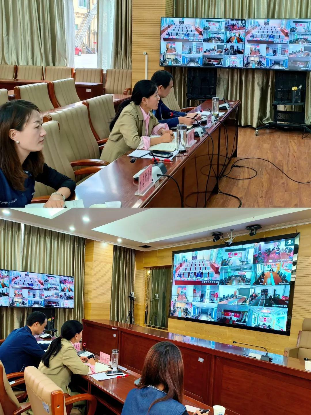 全市自然资源系统再部署主汛期地质灾害防治工作.jpg